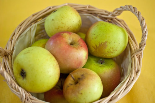 Borsdorf Apple - old German sort