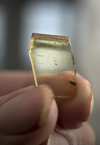 Glass shard found at Tintagel © English Heritage/Emily Whitfield-Wicks