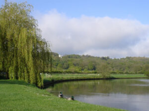 Medieval Runnymede setting for Magna Carta Medieval Histories