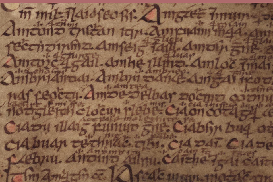 Book of Leinster © Trinitiy College Dublin