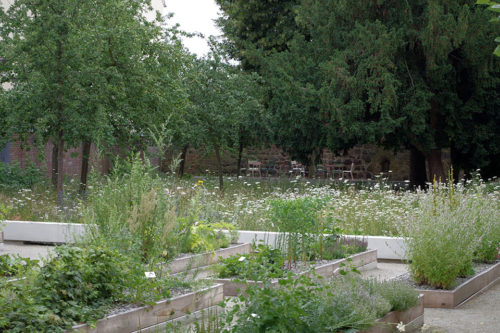 The Garden of melanchton. Source: UBQTlandscape