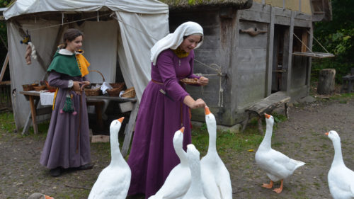 Feeding the geese at the Medieval Centre at Lolland © Visitlolland